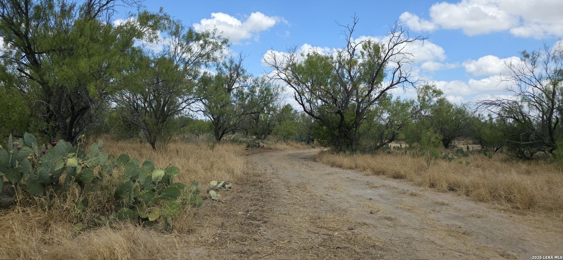 0 Escondido Road Carrizo Springs TX 78834