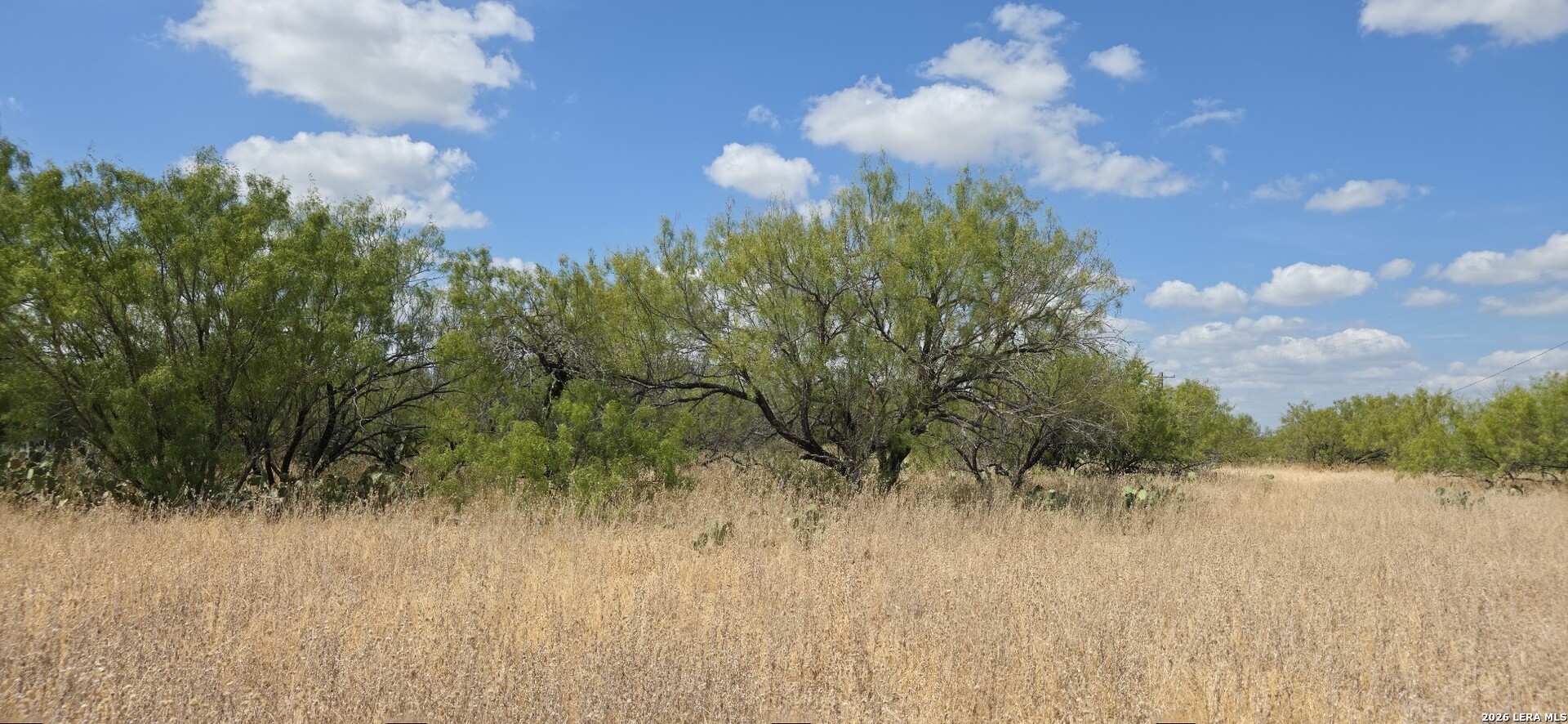 0 Escondido Road Carrizo Springs TX 78834