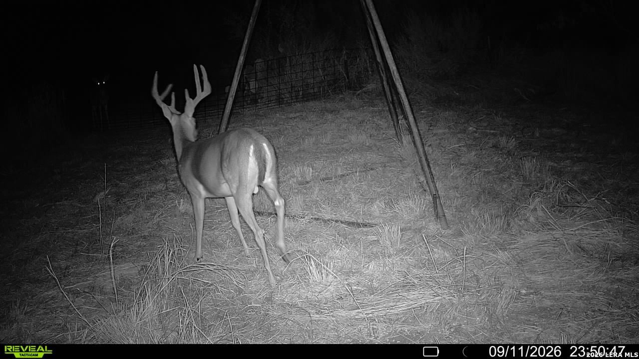 0 Escondido Road Carrizo Springs TX 78834