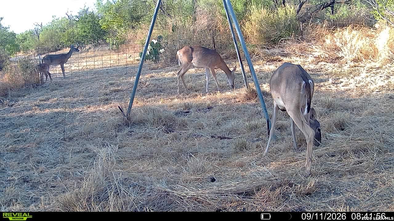0 Escondido Road Carrizo Springs TX 78834