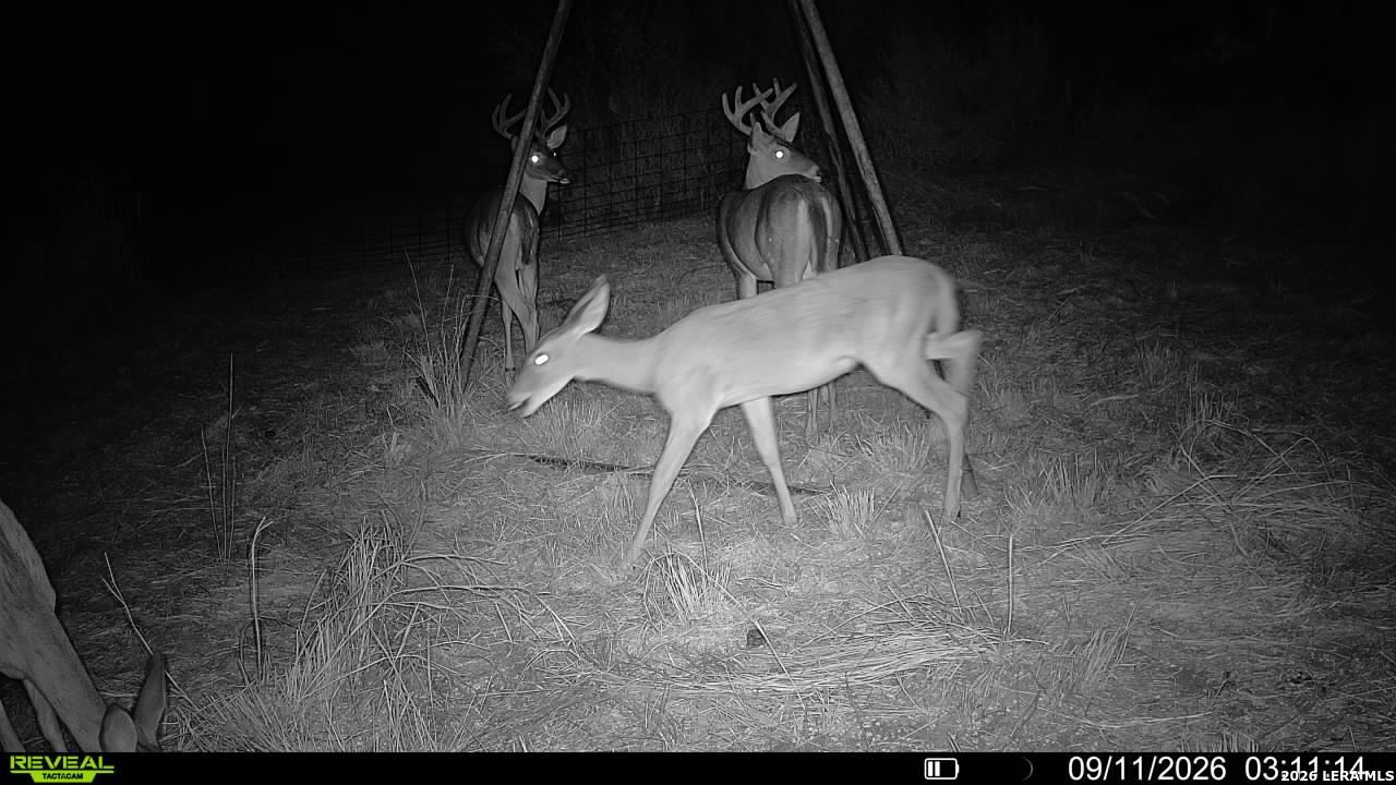 0 Escondido Road Carrizo Springs TX 78834