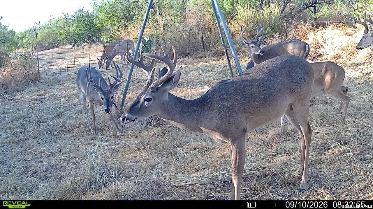 0 Escondido Road Carrizo Springs TX 78834