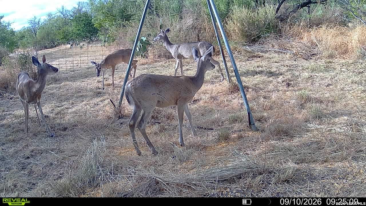 0 Escondido Road Carrizo Springs TX 78834