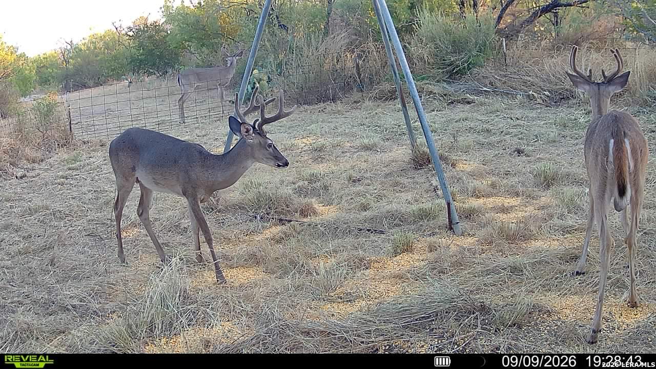 0 Escondido Road Carrizo Springs TX 78834