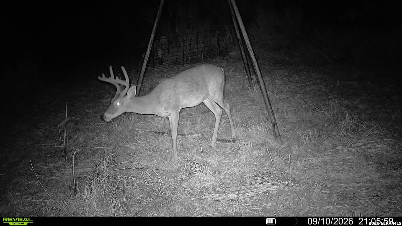 0 Escondido Road Carrizo Springs TX 78834