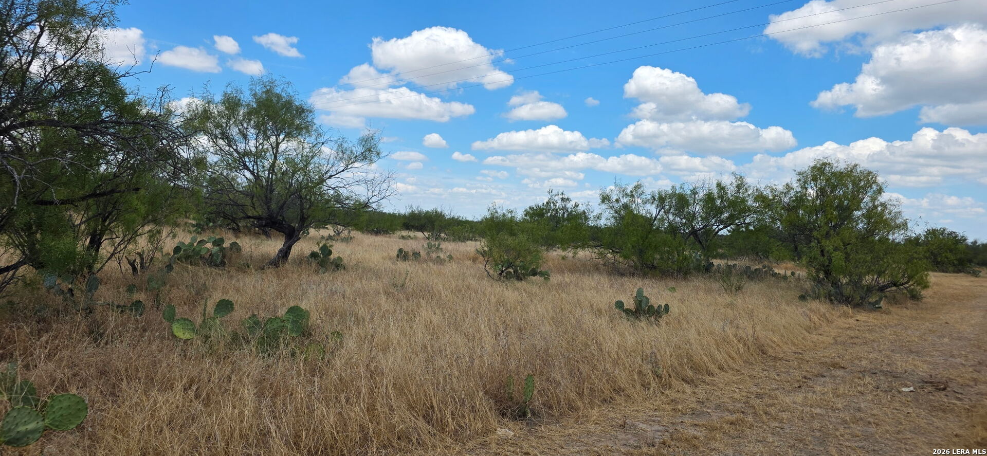 0 Escondido Road Carrizo Springs TX 78834