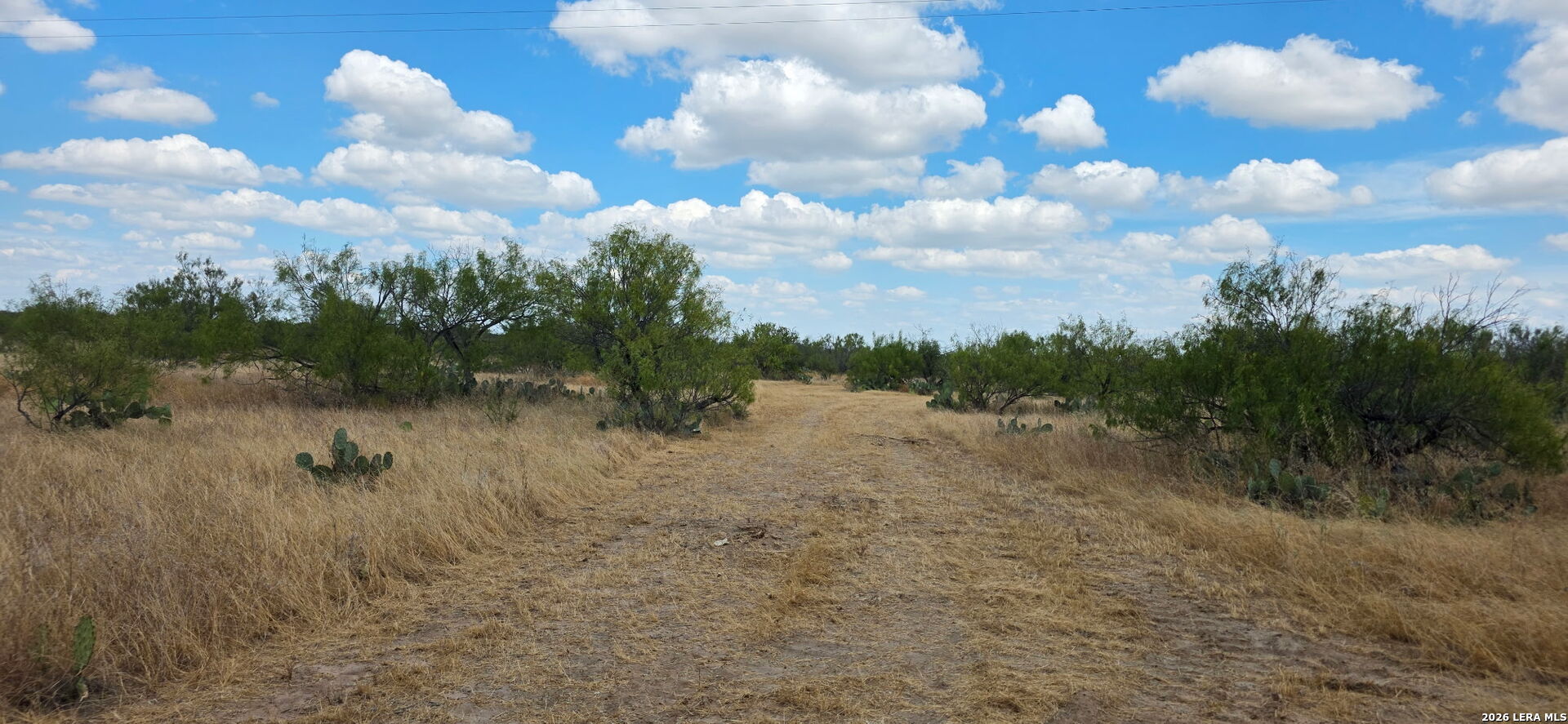 0 Escondido Road Carrizo Springs TX 78834