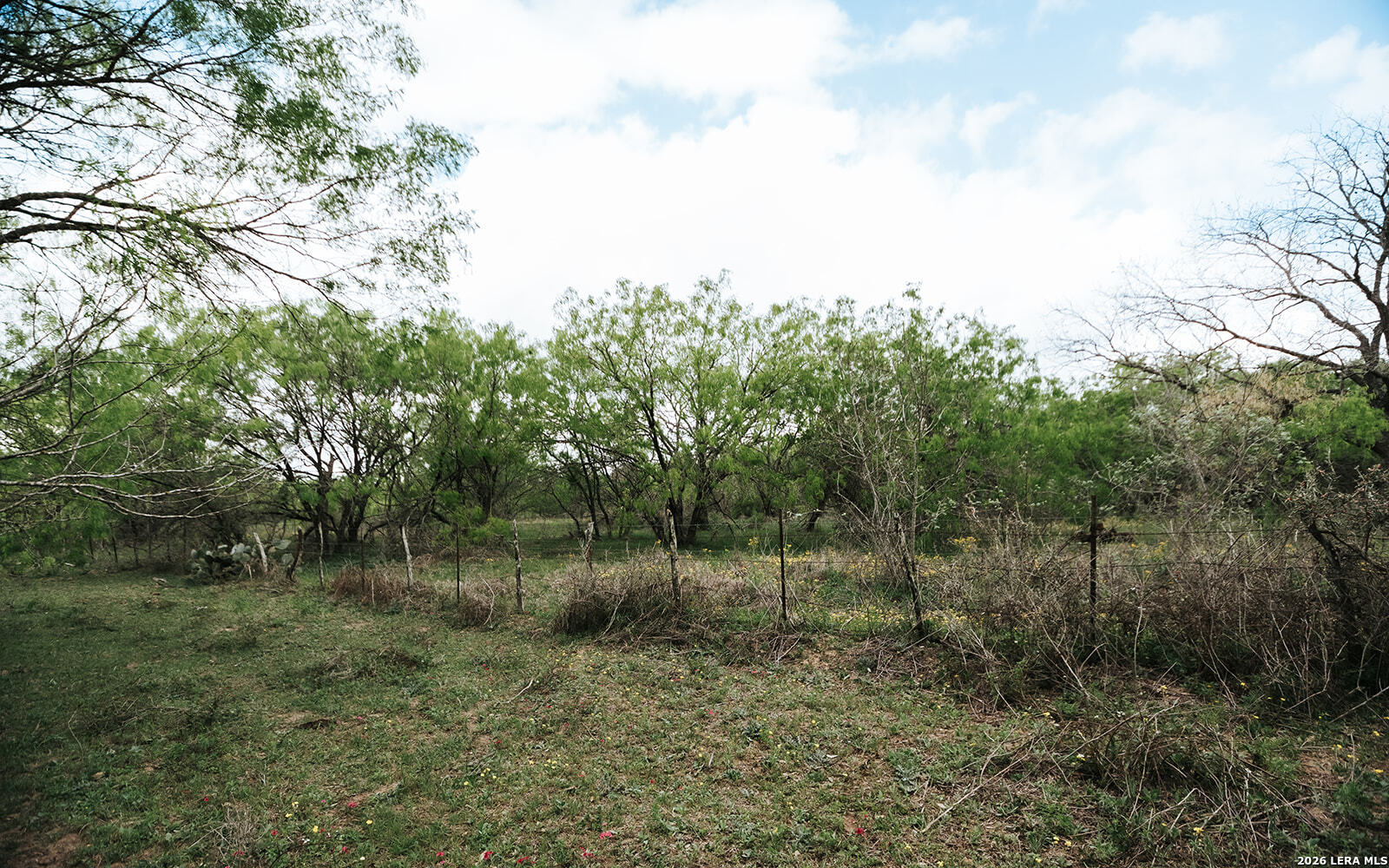 1065 Fm 477 Seguin TX 78155