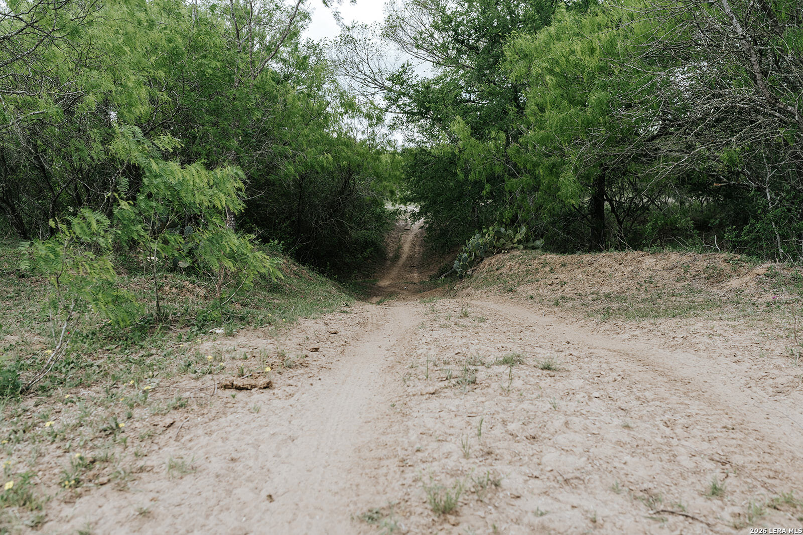 1065 Fm 477 Seguin TX 78155