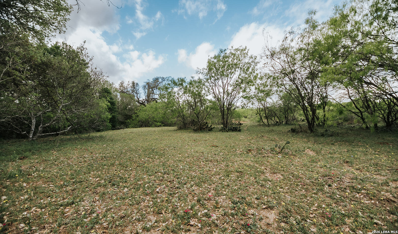1065 Fm 477 Seguin TX 78155