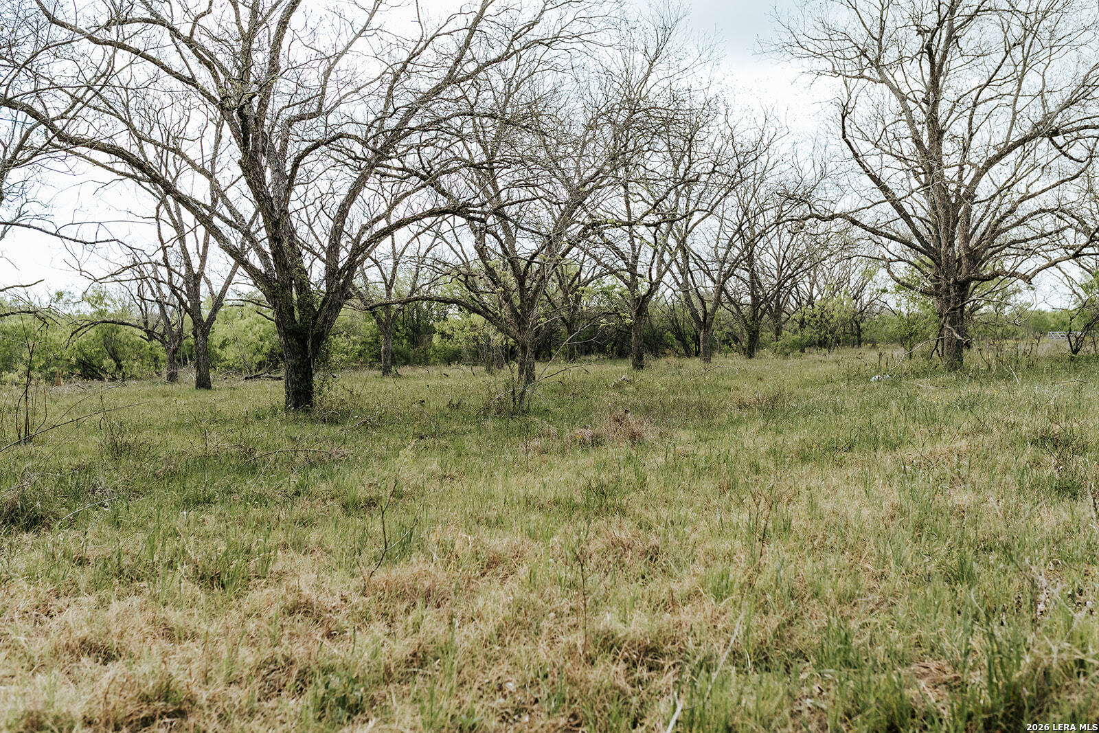 1065 Fm 477 Seguin TX 78155