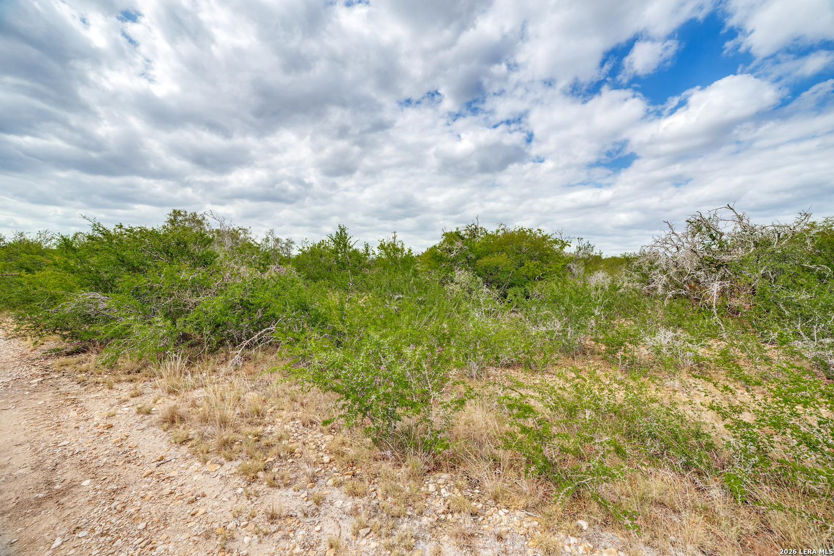 Tract 2 County Road 652 Devine TX 78016