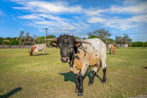 103 Waring Welfare Boerne TX 78006