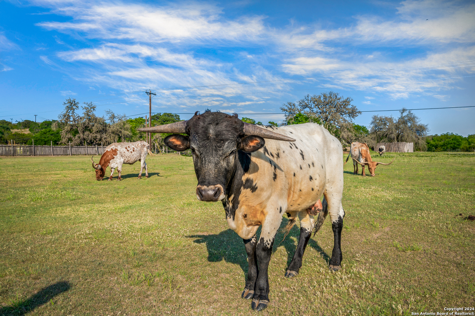 103 Waring Welfare Boerne TX 78006