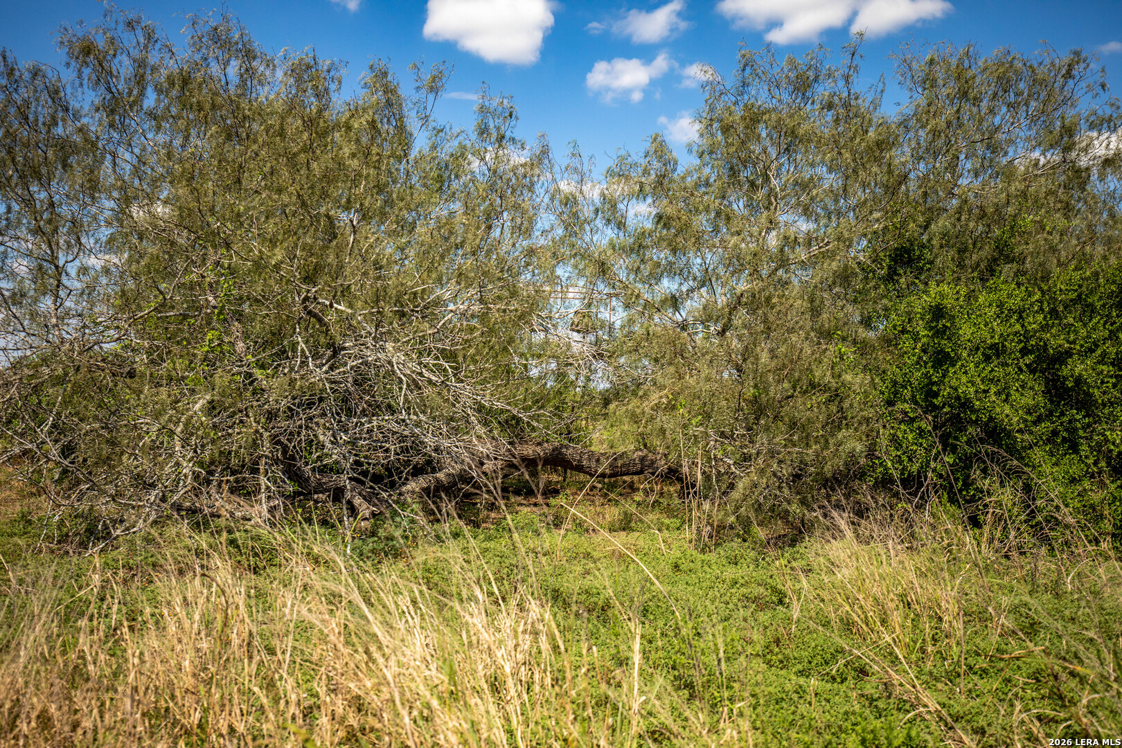 0 Hotz Road Cuero TX 77954
