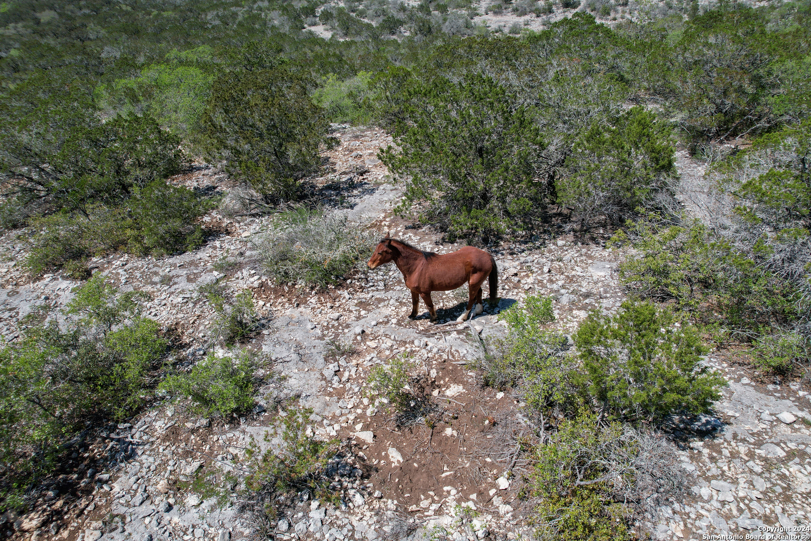 00 Rm 334 Brackettville TX 78832