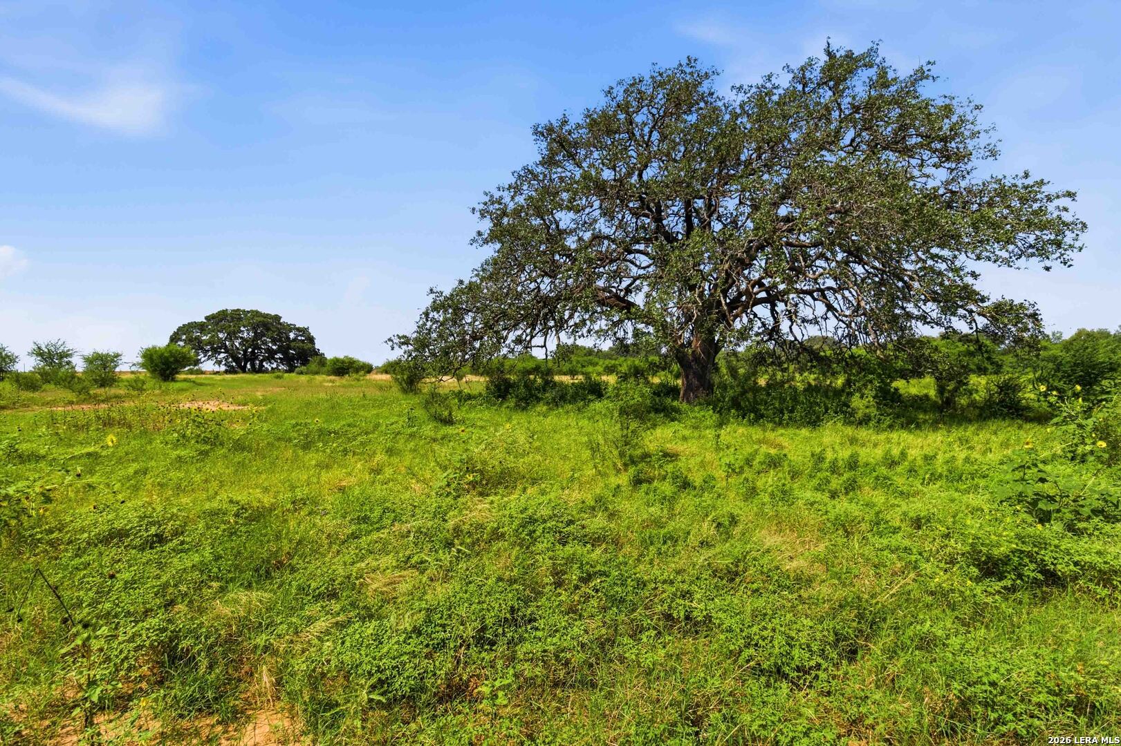 2194 S Ranch Road 187 Sabinal TX 78881