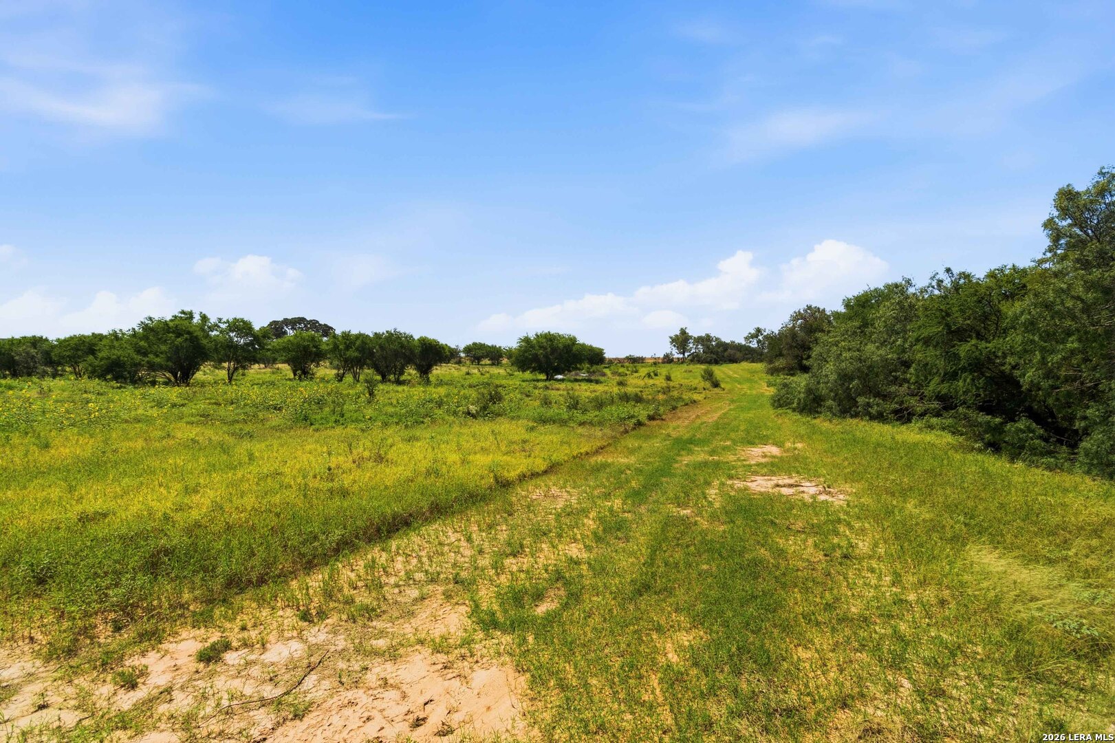 2194 S Ranch Road 187 Sabinal TX 78881