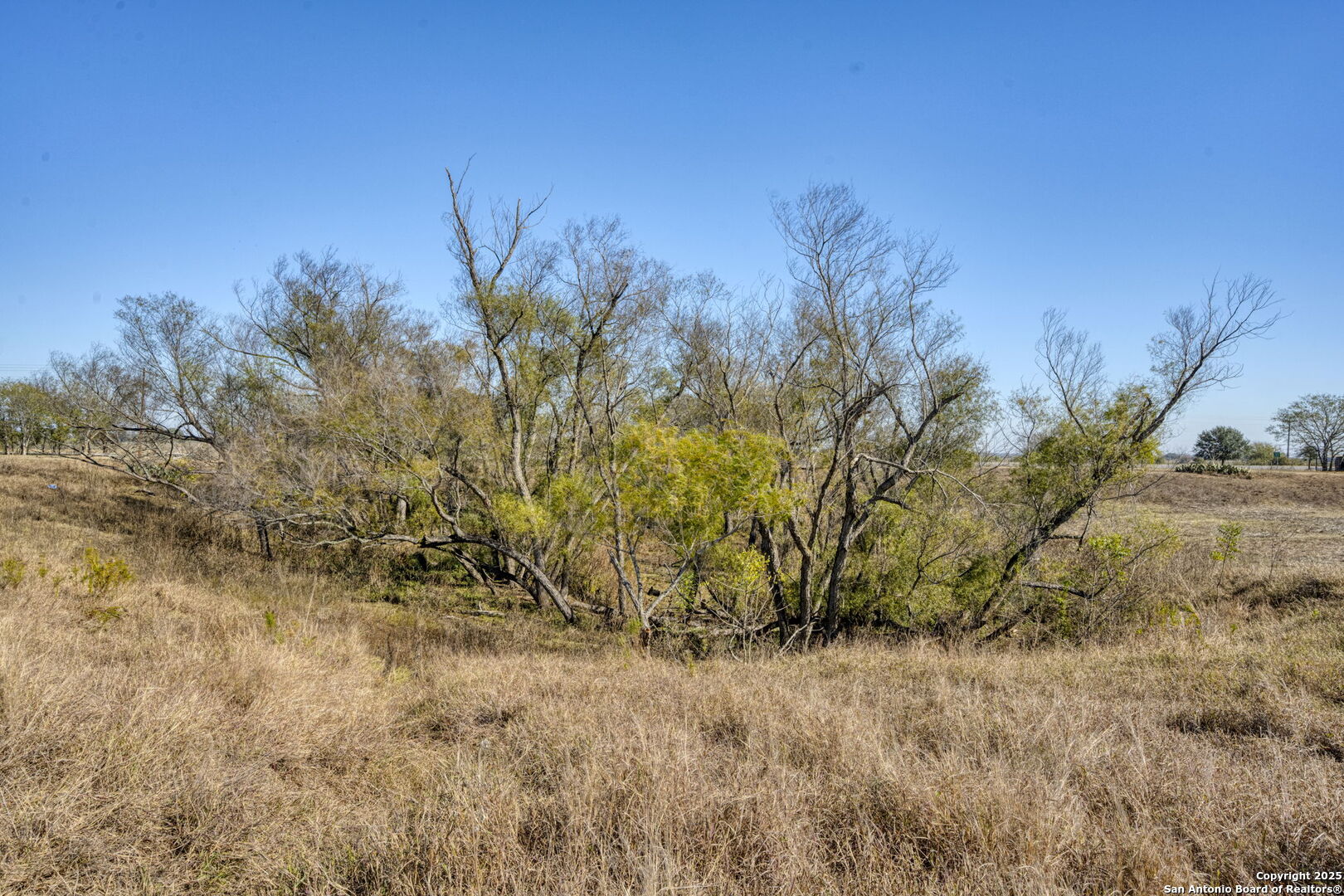 8646 Fm 155 Lagrange TX 78945