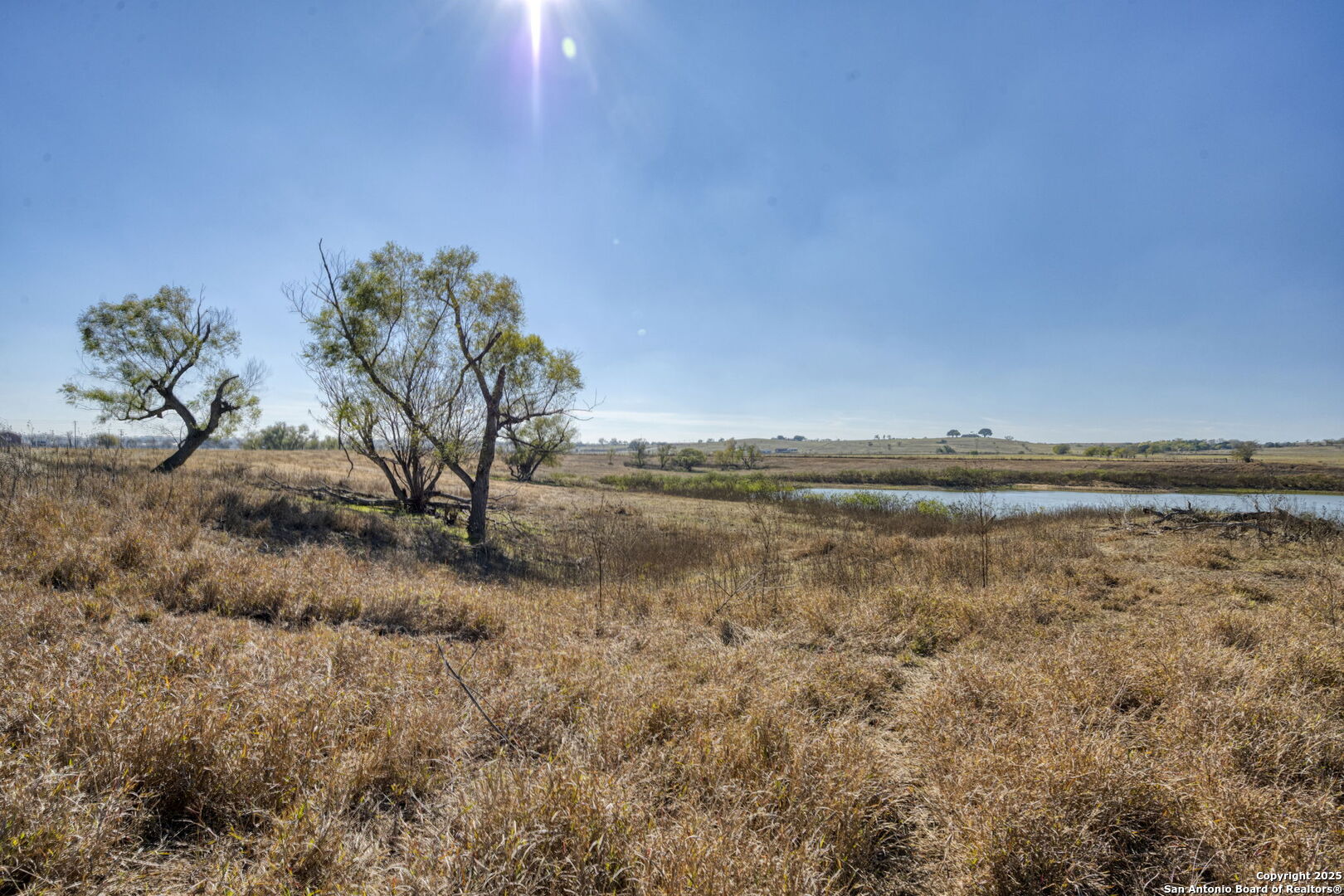 8646 Fm 155 Lagrange TX 78945