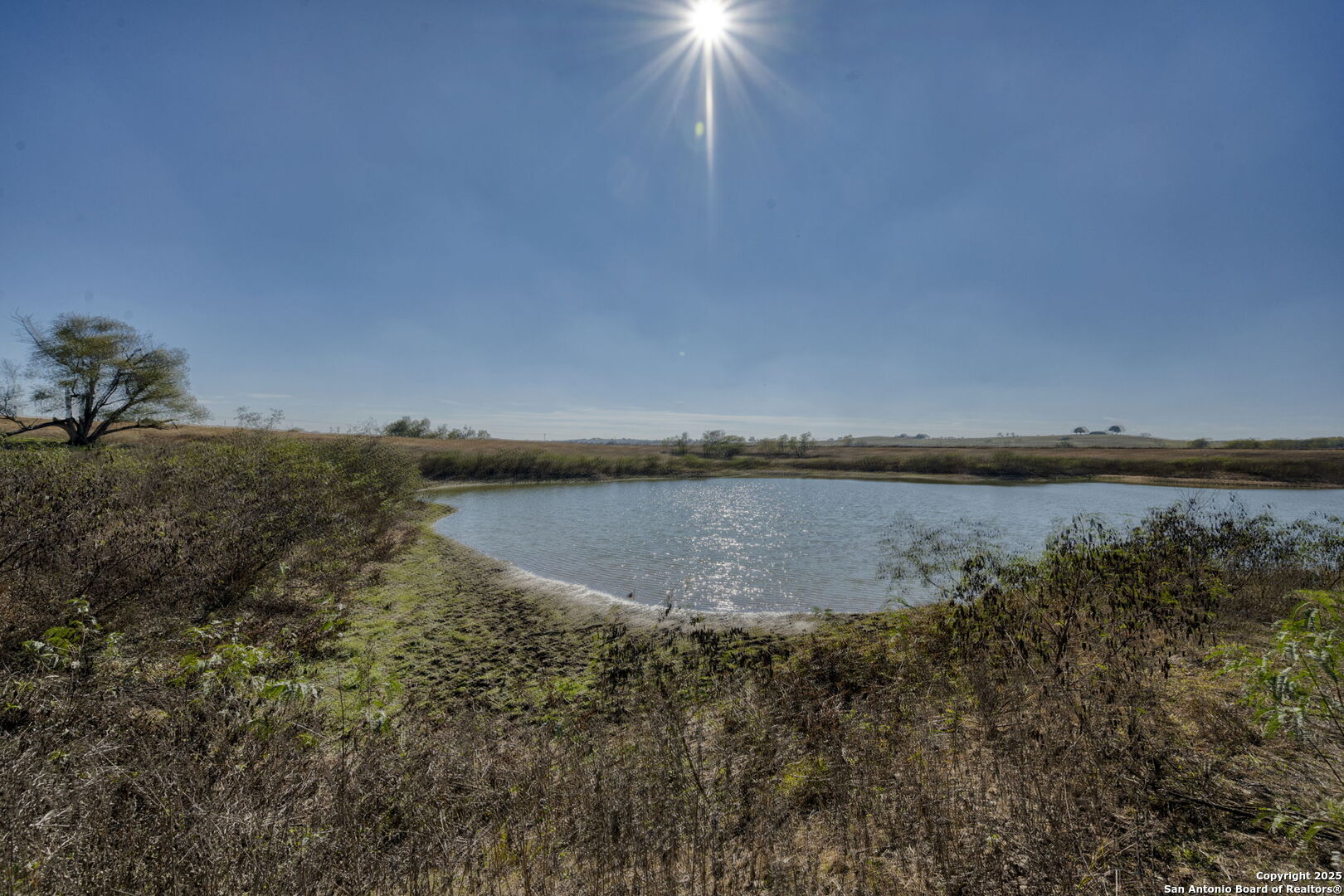 8646 Fm 155 Lagrange TX 78945