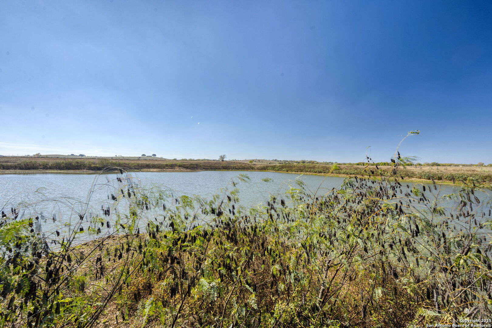 8646 Fm 155 Lagrange TX 78945