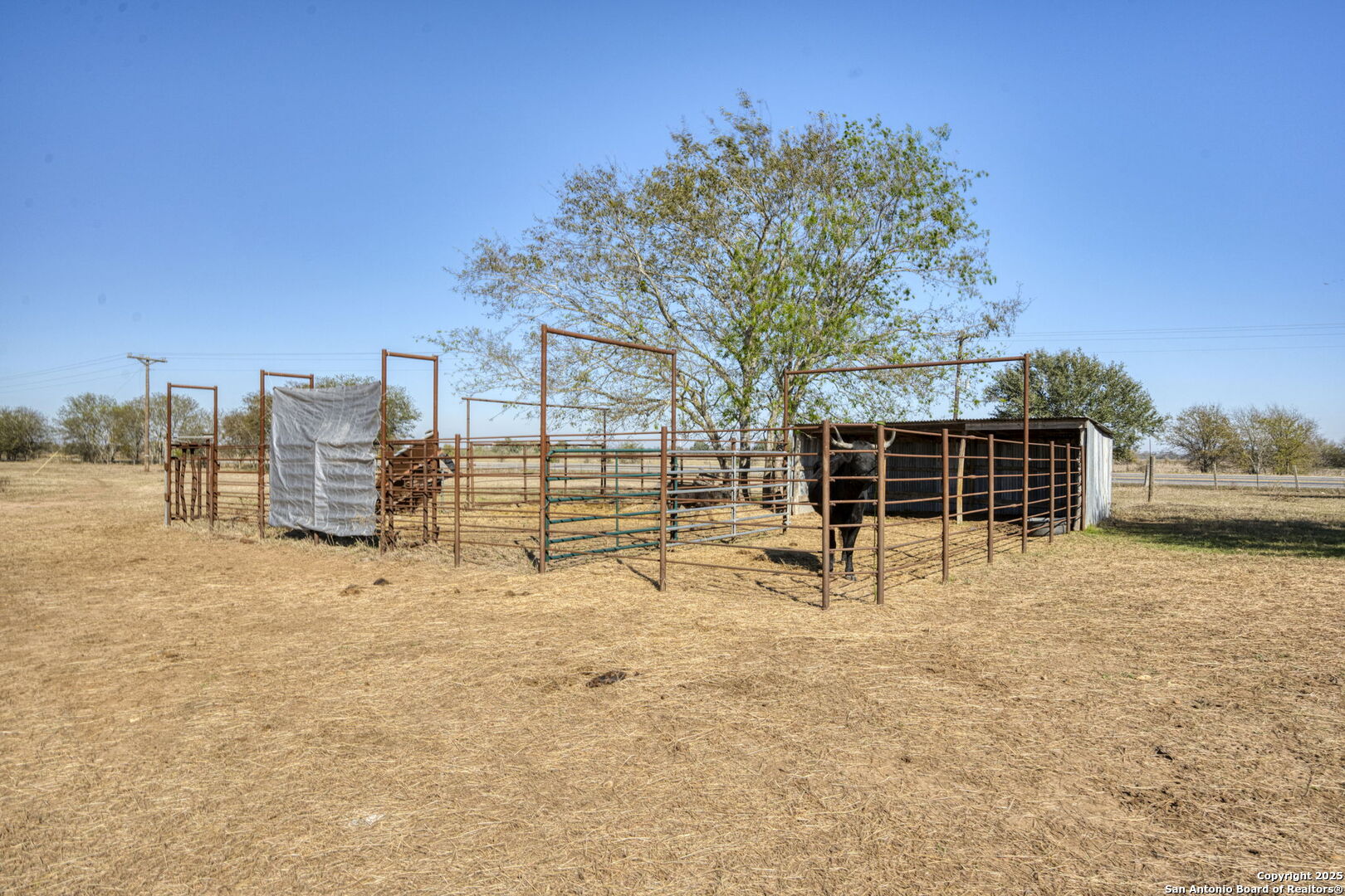 8646 Fm 155 Lagrange TX 78945