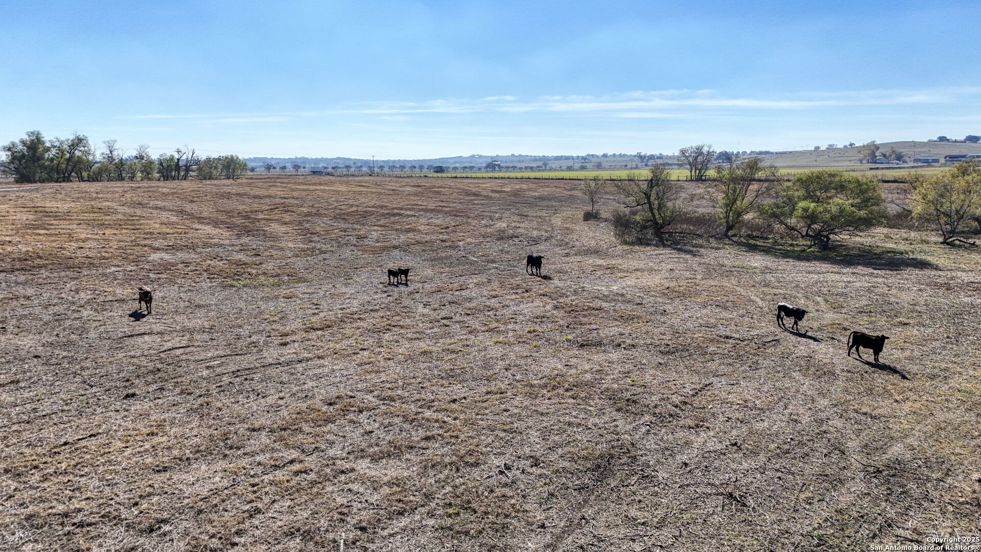 8646 Fm 155 Lagrange TX 78945