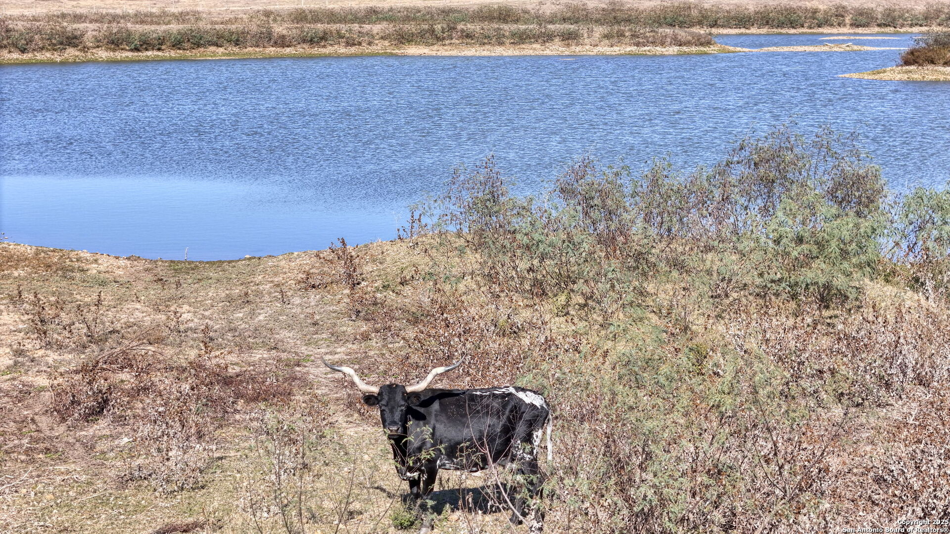 8646 Fm 155 Lagrange TX 78945