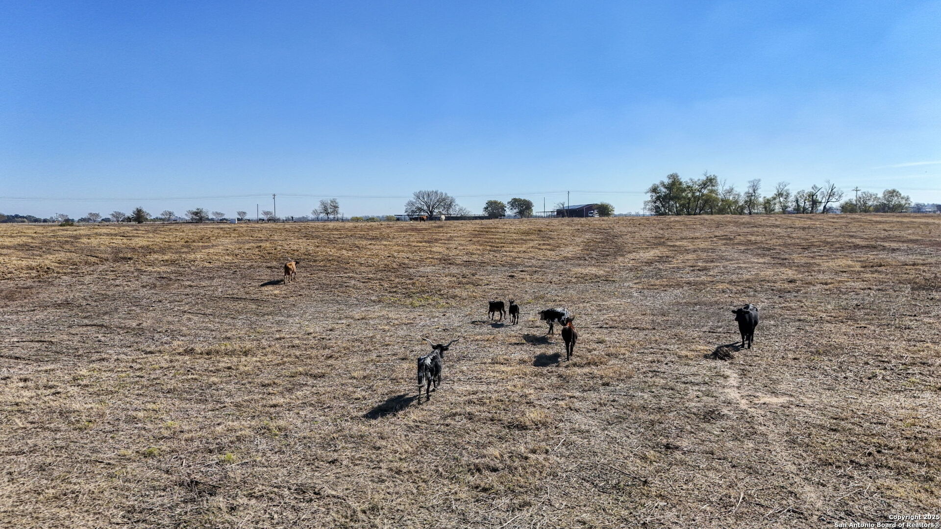 8646 Fm 155 Lagrange TX 78945