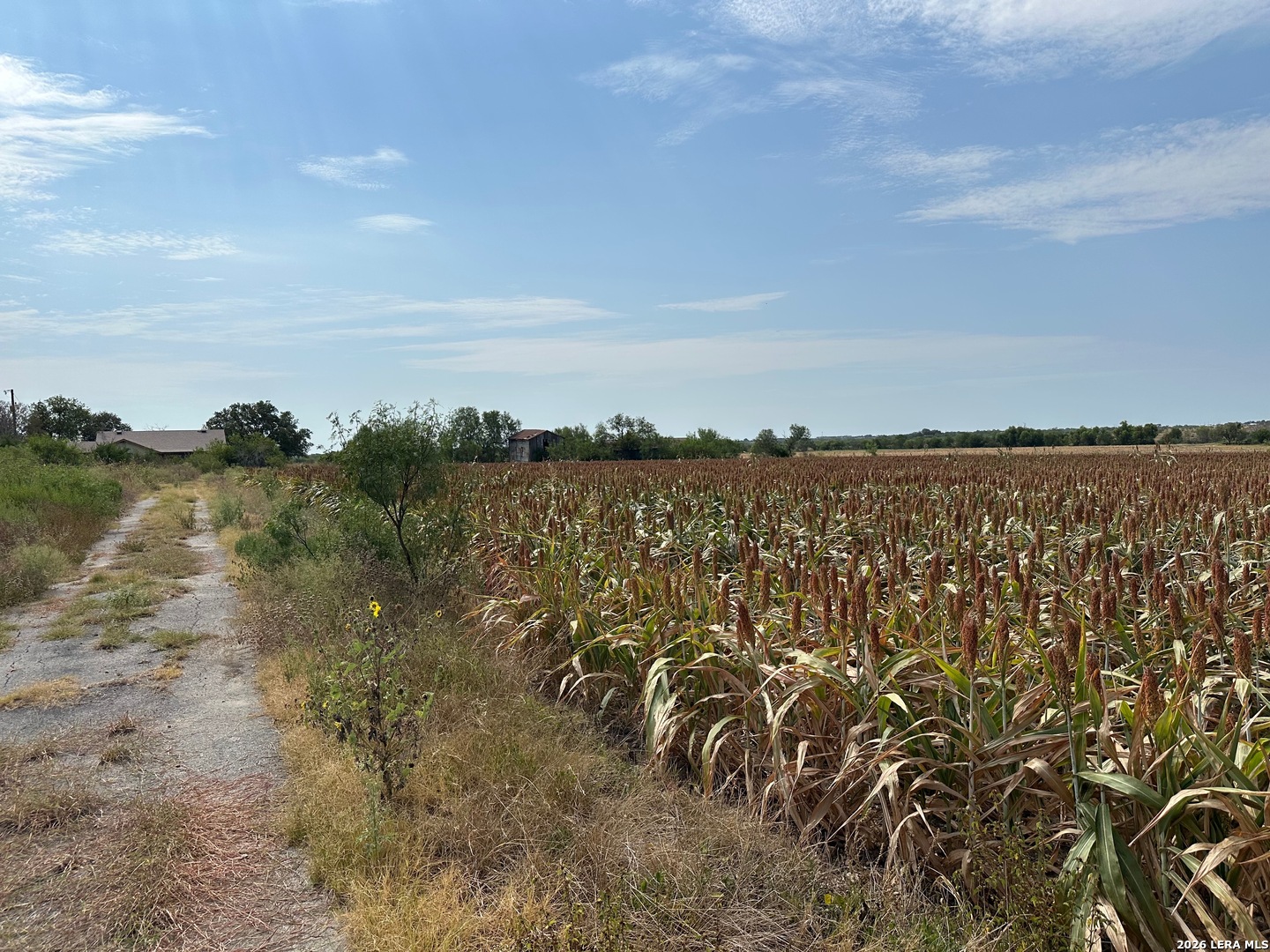 3640 Freudenburg Road Converse TX 78109