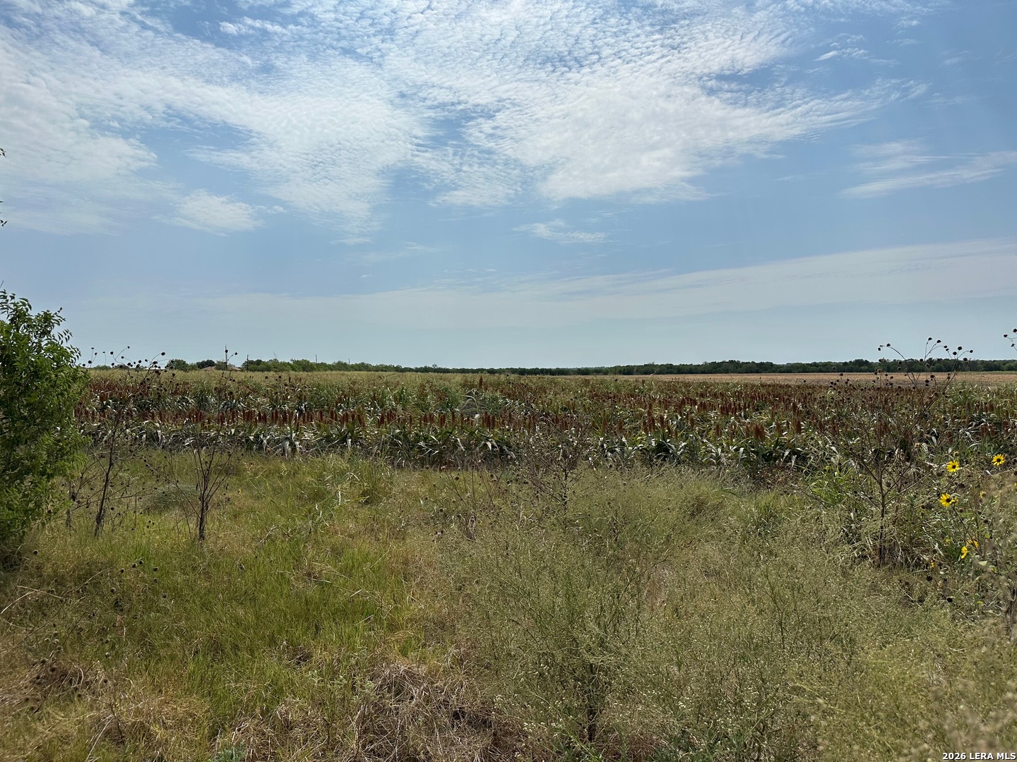 3640 Freudenburg Road Converse TX 78109