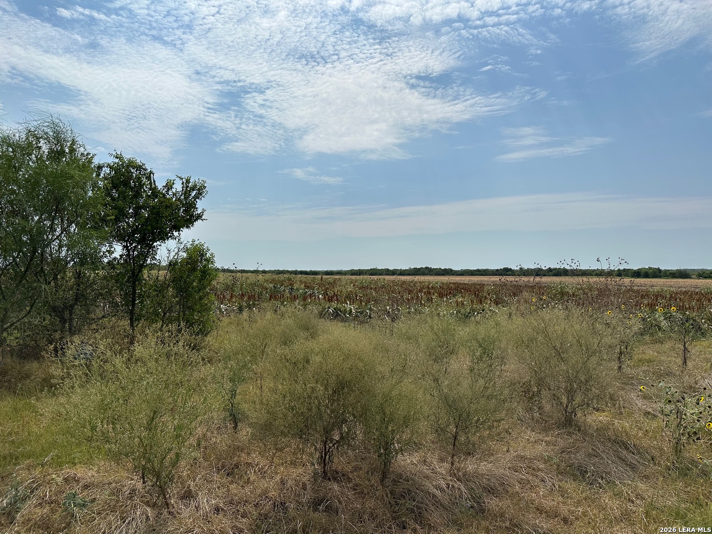 3640 Freudenburg Road Converse TX 78109