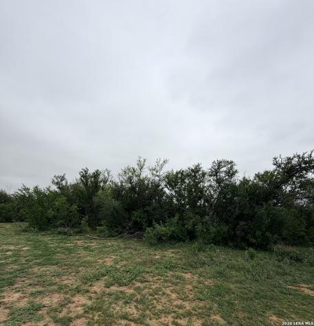 87 Quinney Carrizo Springs TX 78834