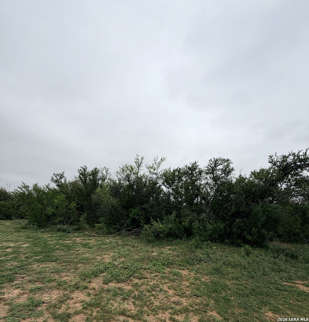87 Quinney Carrizo Springs TX 78834
