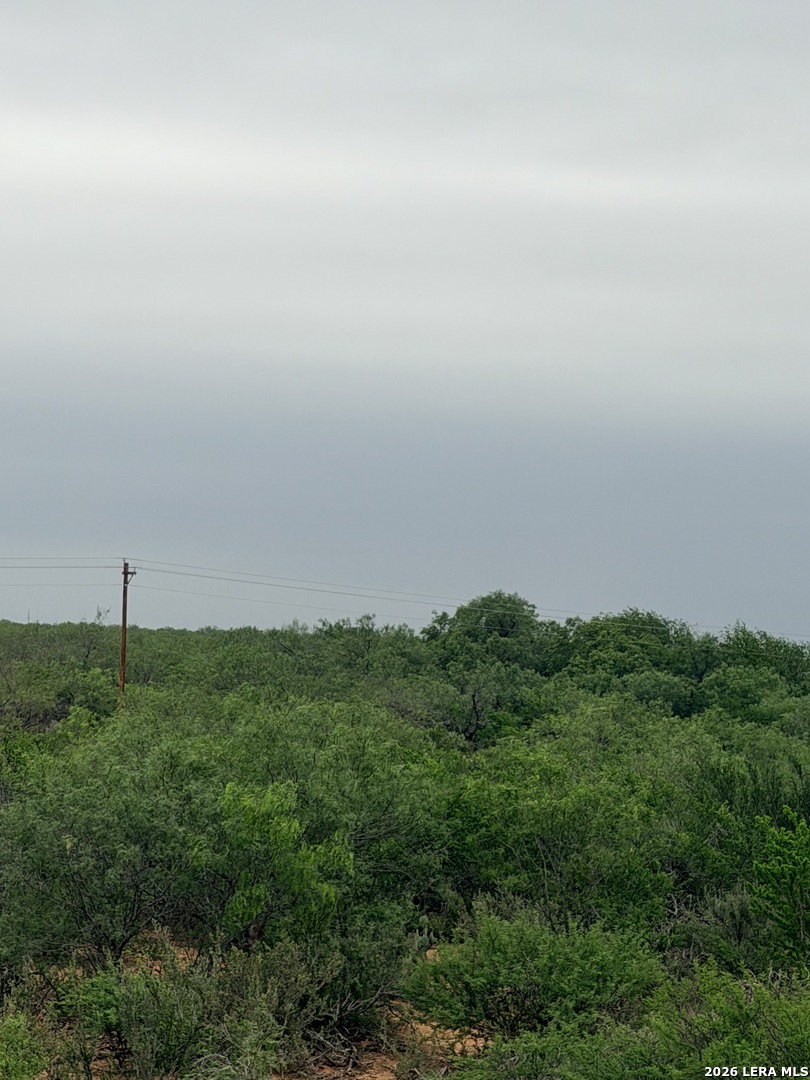 87 Quinney Carrizo Springs TX 78834