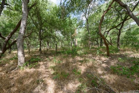 Tbd Santa Clara Road Seguin TX 78155