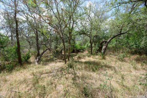 Tbd Santa Clara Road Seguin TX 78155