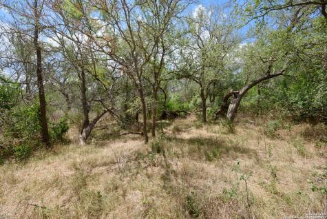 Tbd Santa Clara Road Seguin TX 78155