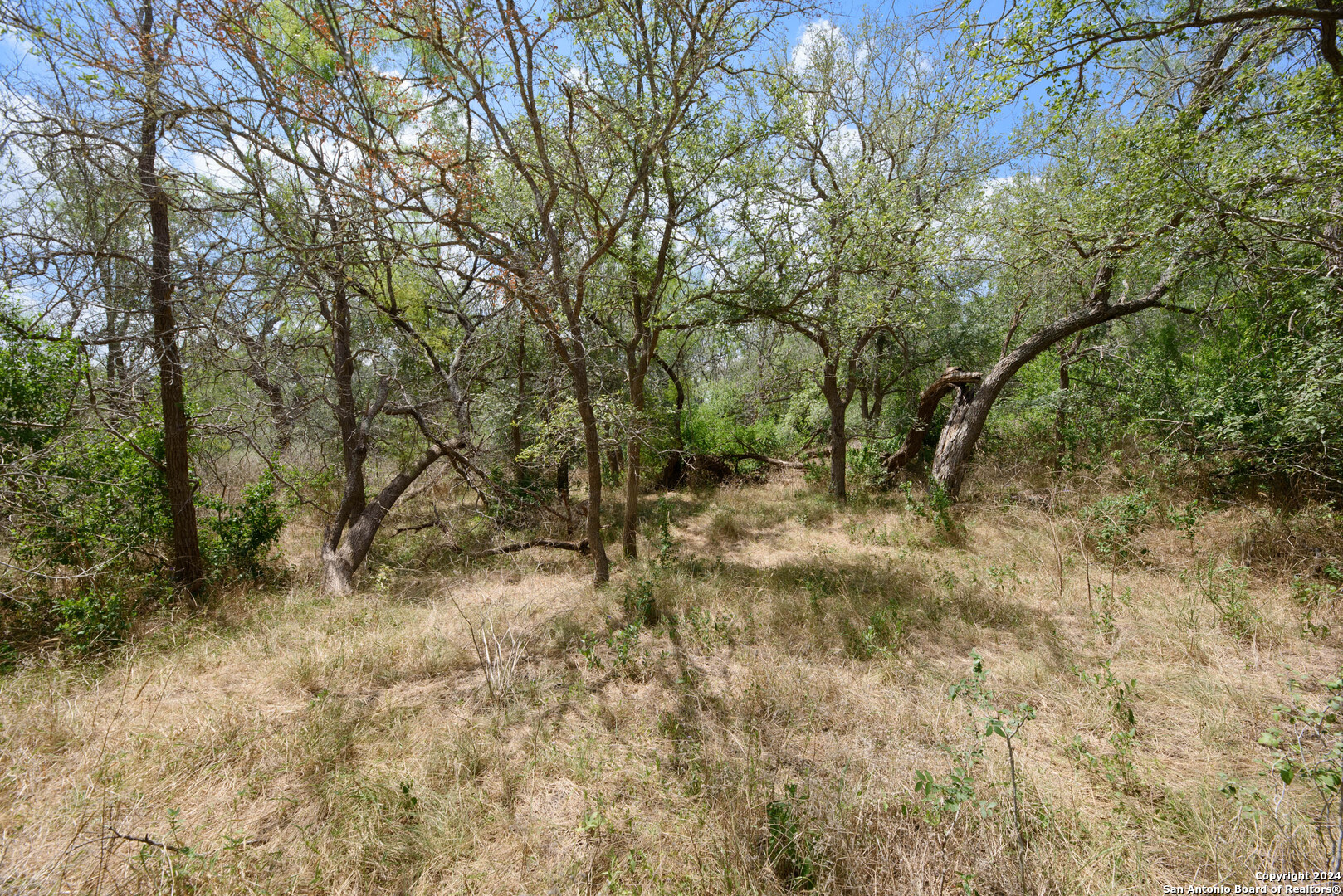 Tbd Santa Clara Road Seguin TX 78155