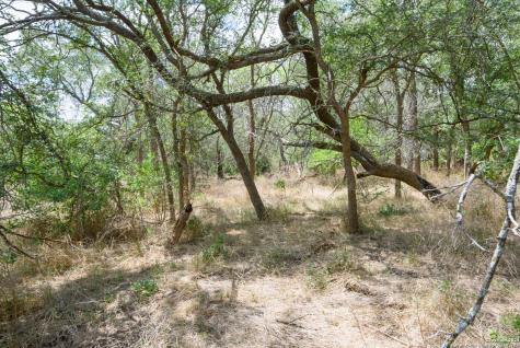 Tbd Santa Clara Road Seguin TX 78155
