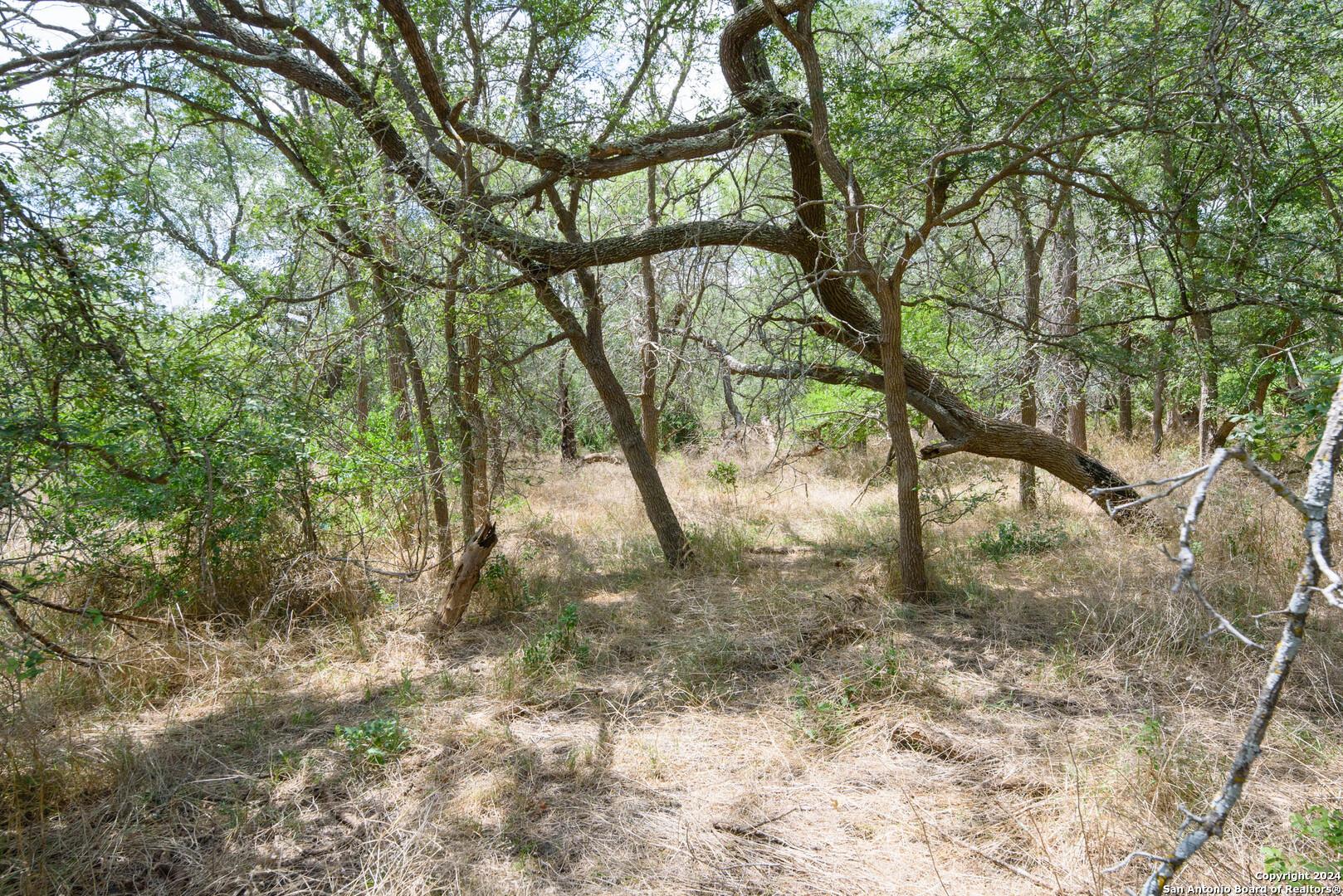 Tbd Santa Clara Road Seguin TX 78155