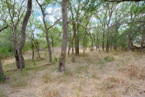 Tbd Santa Clara Road Seguin TX 78155