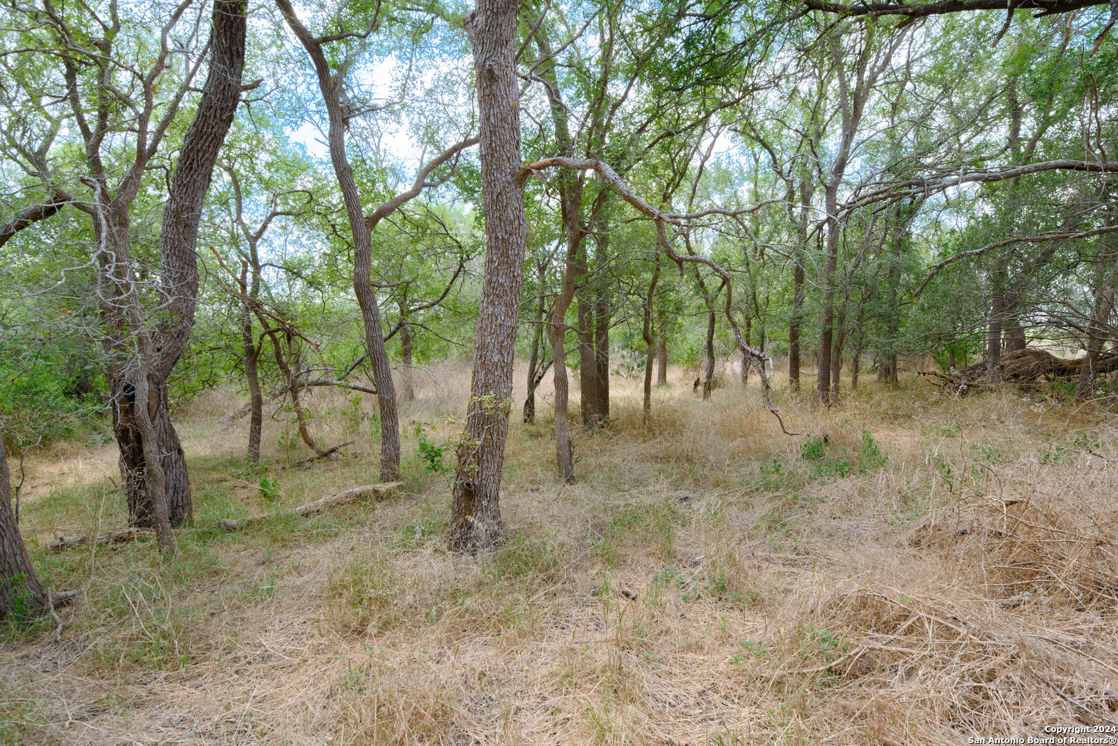 Tbd Santa Clara Road Seguin TX 78155