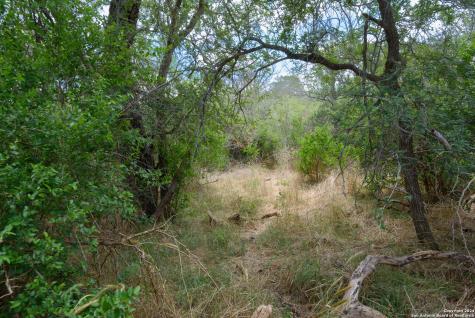 Tbd Santa Clara Road Seguin TX 78155