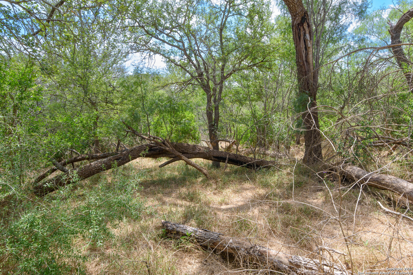 Tbd Santa Clara Road Seguin TX 78155