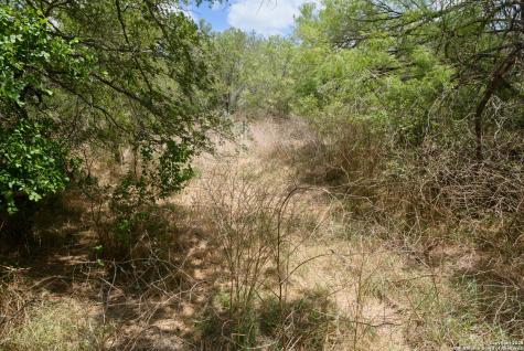 Tbd Santa Clara Road Seguin TX 78155