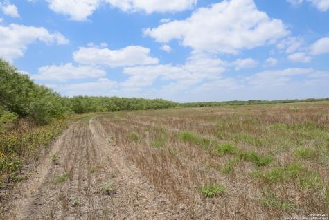 Tbd Santa Clara Road Seguin TX 78155