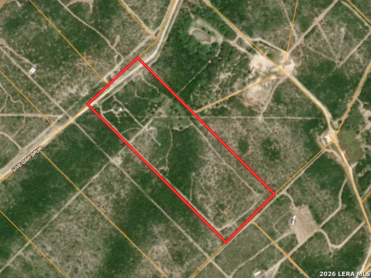 250 Live Oak Spur George West TX 78022