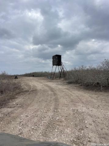 250 Live Oak Spur George West TX 78022